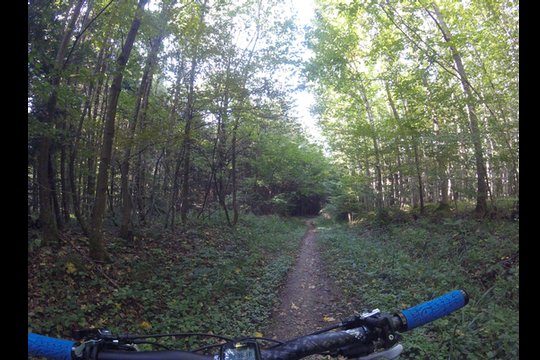 GoPro Hero4 Session Vergleichsfoto, Schatten und Sonneinstrahlung im Wald beim Biken